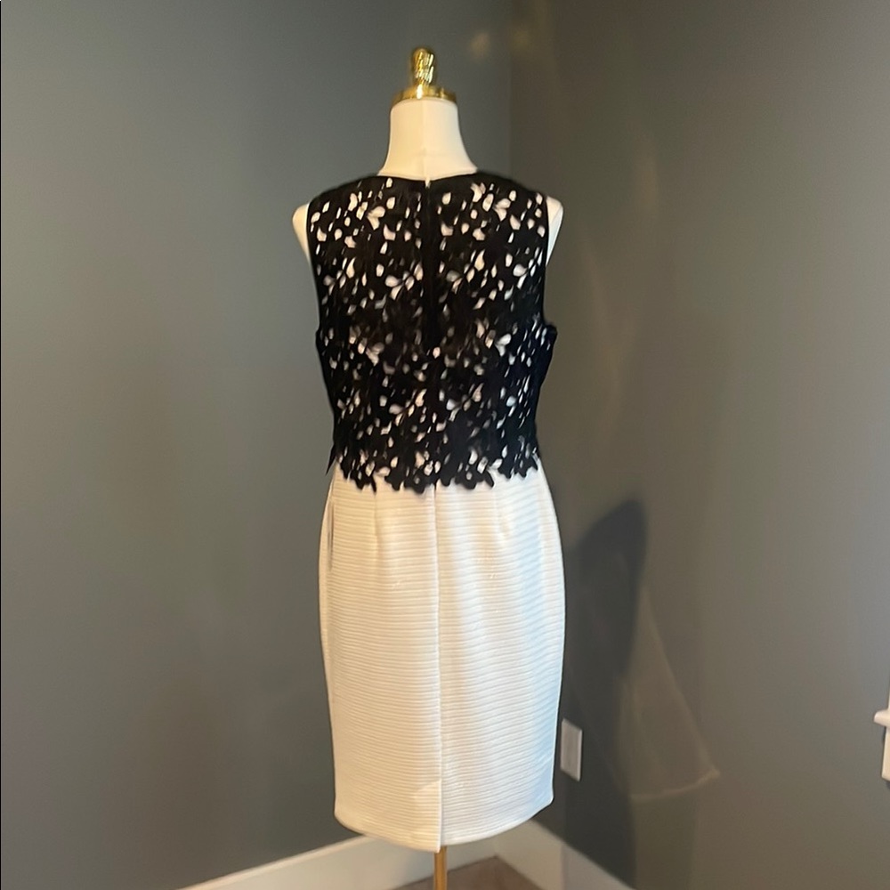 Elegant Black and White Sleeveless Dress - Picture 4 of 6